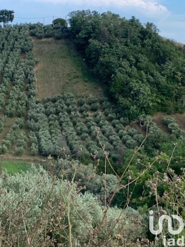 Landwirtschaftliche Fläche in Tortoreto