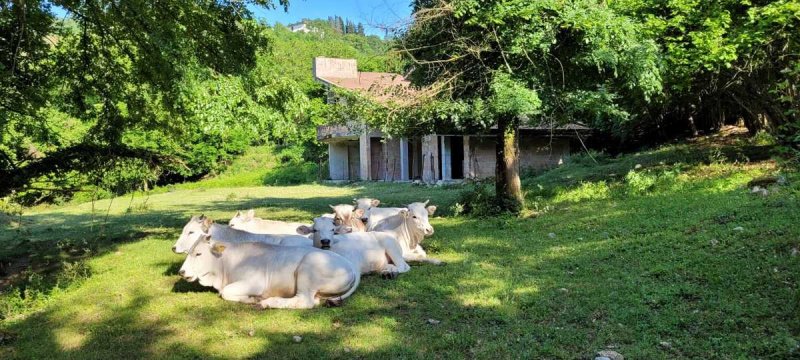 Casa de campo en Atina