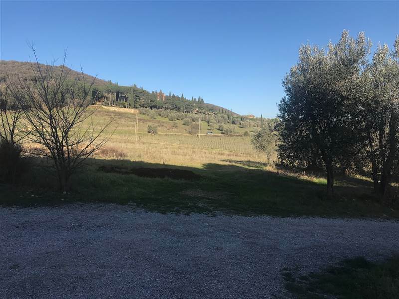 Farm in Montalcino