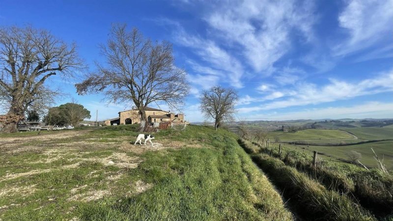 Farm in Montalcino