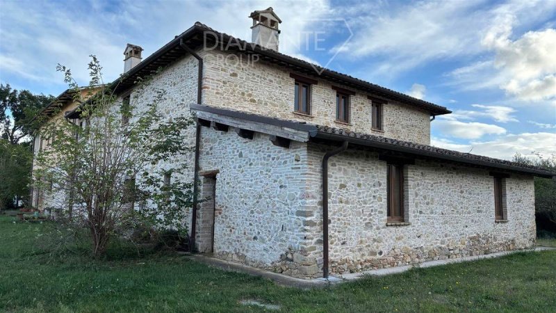 Explotación agrícola en Castel Ritaldi
