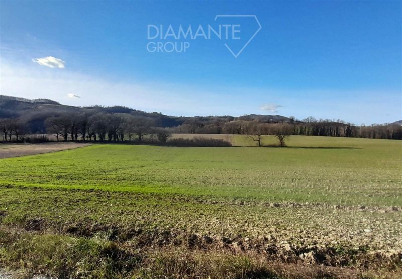 科斯塔恰罗农用土地