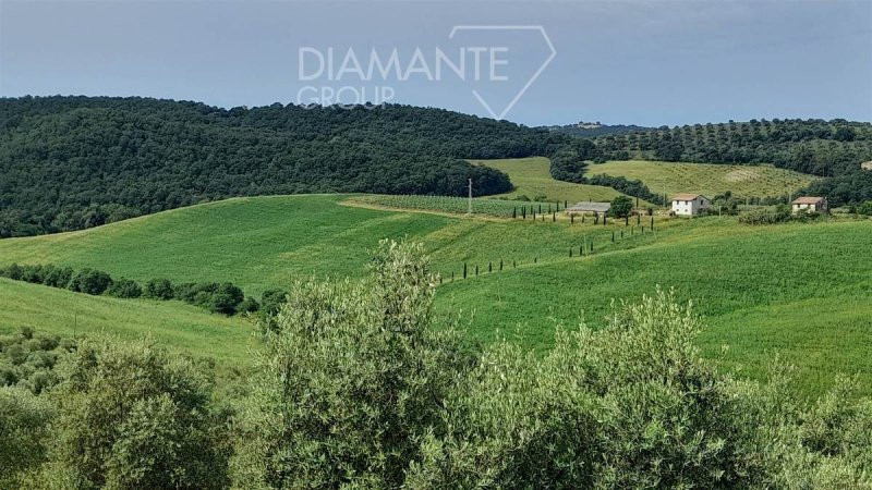 Quinta agrícola em Scansano