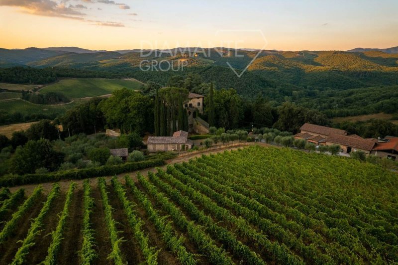 Exploitation agricole à Radda in Chianti