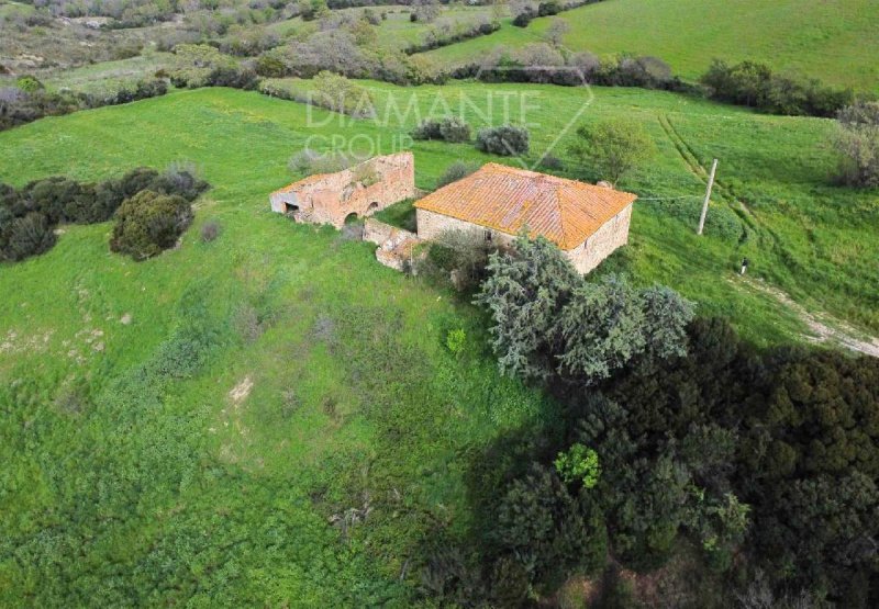Explotación agrícola en Roccalbegna