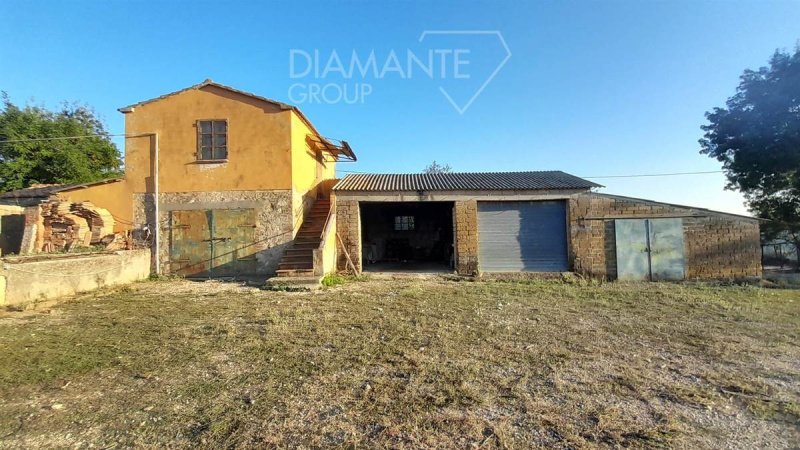 Farm in Magliano in Toscana