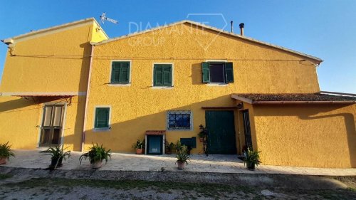 Azienda agricola a Magliano in Toscana