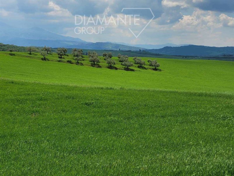 Terreno agrícola en Pienza