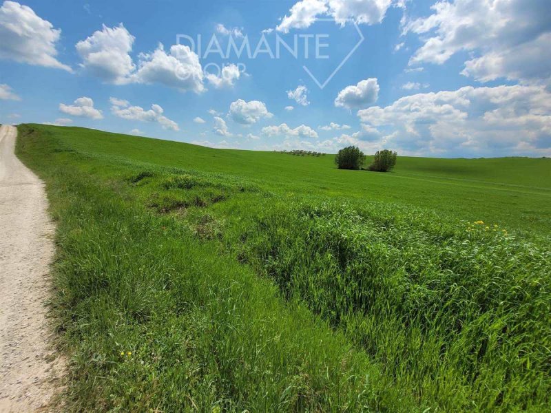 Terreno agrícola em Pienza