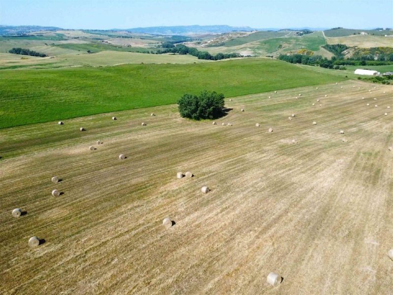 Landbouwgrond in Pienza