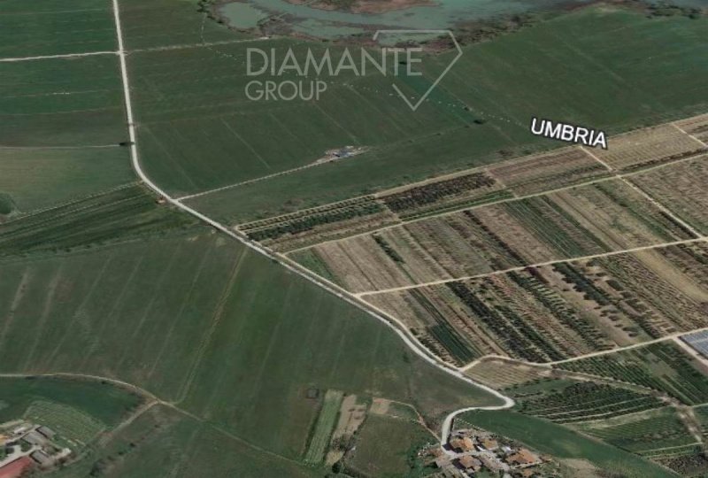 Building plot in Castiglione del Lago