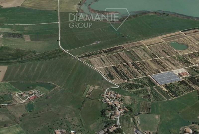 Building plot in Castiglione del Lago