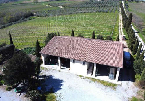 Landwirtschaftlicher Betrieb in Castel del Piano