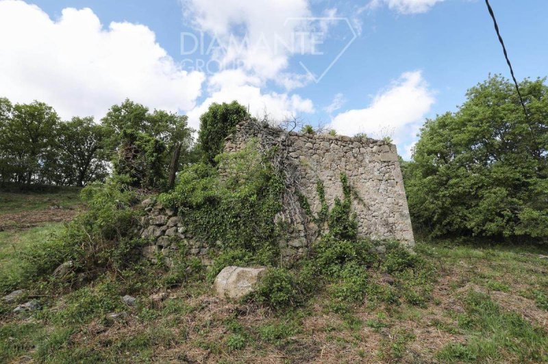 Lantställe i Castel del Piano