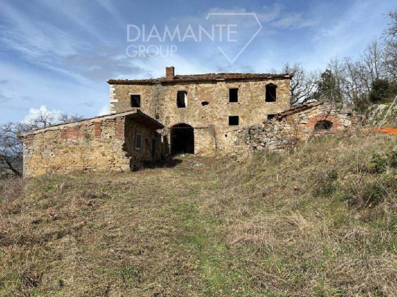 Azienda agricola a Sinalunga