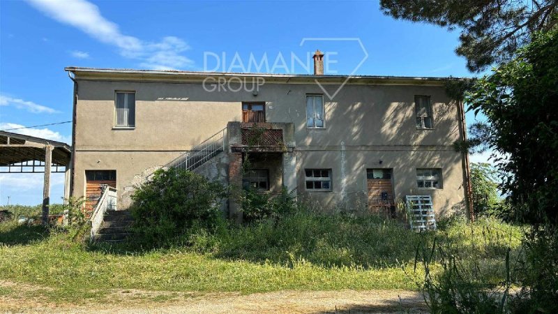 Azienda agricola a Castiglione del Lago