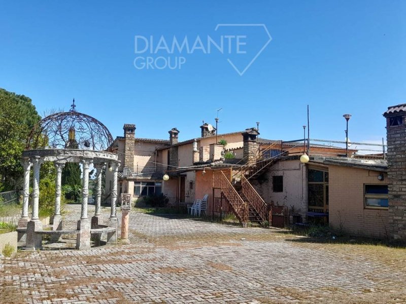 Azienda agricola a Marsciano