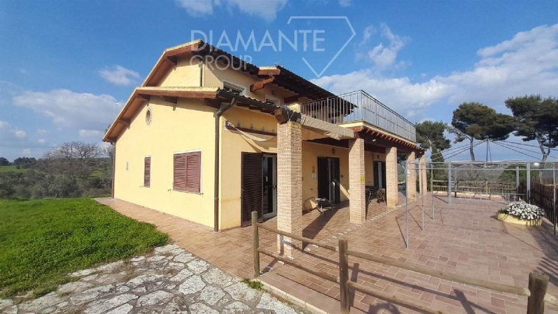 Farm in Magliano in Toscana