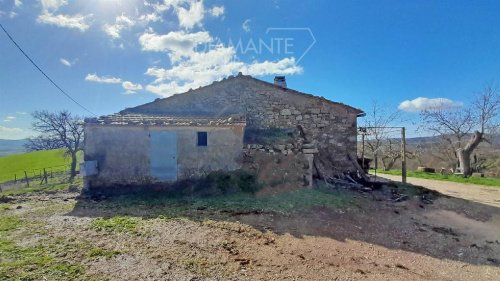 Explotación agrícola en Scansano