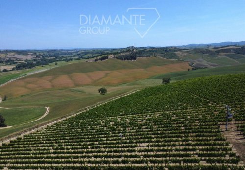 Landwirtschaftlicher Betrieb in Montalcino