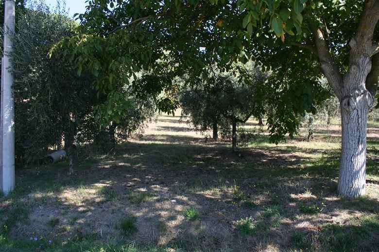 Apartment in Tuoro sul Trasimeno