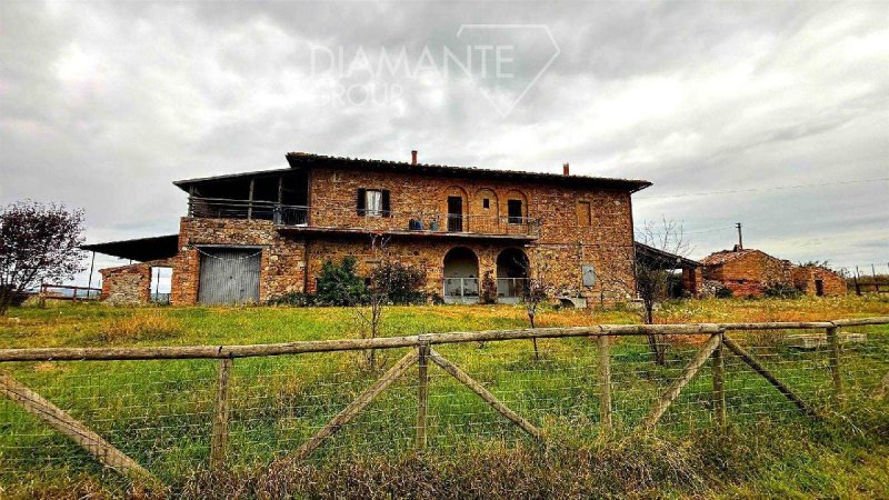 Lantställe i Montalcino