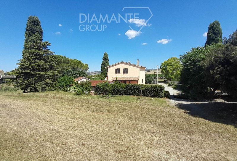 Azienda agricola a Magliano in Toscana