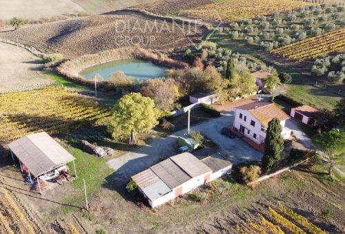 Azienda agricola a Magliano in Toscana