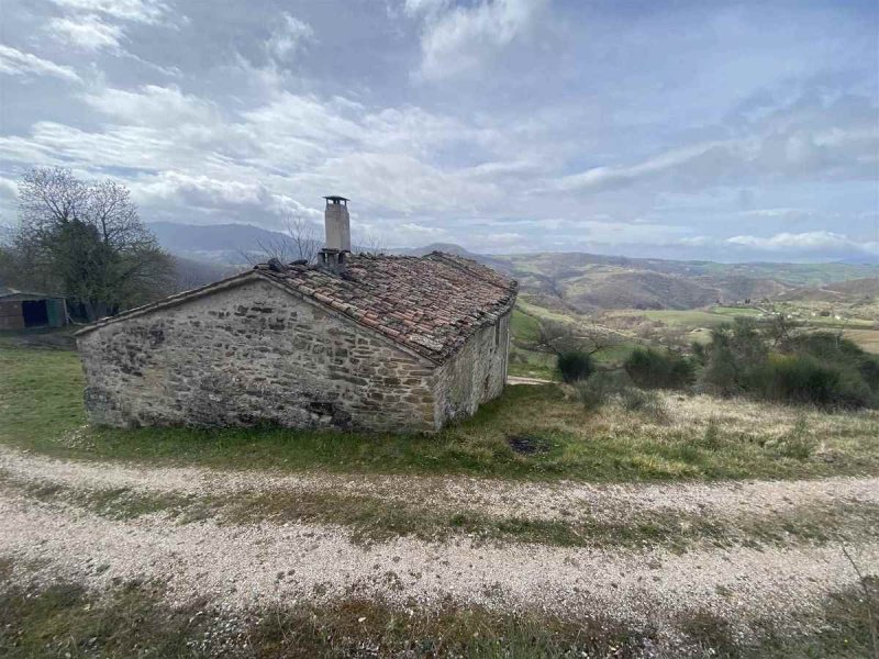 Explotación agrícola en Gubbio