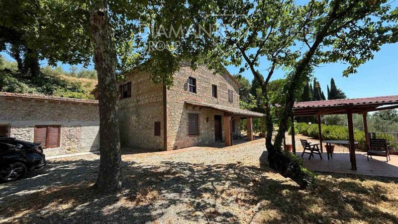 Azienda agricola a Cetona