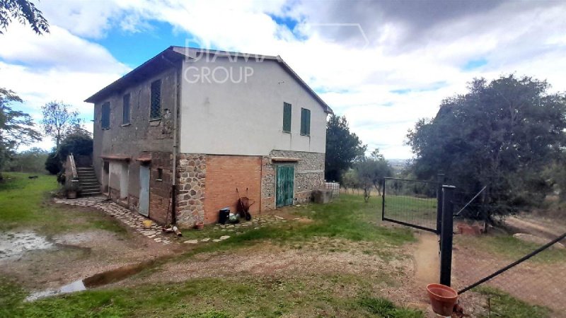 Bauernhaus in Scansano