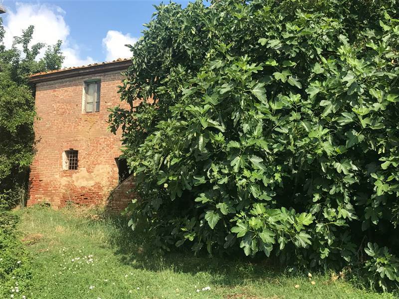 Lantställe i Castiglione del Lago