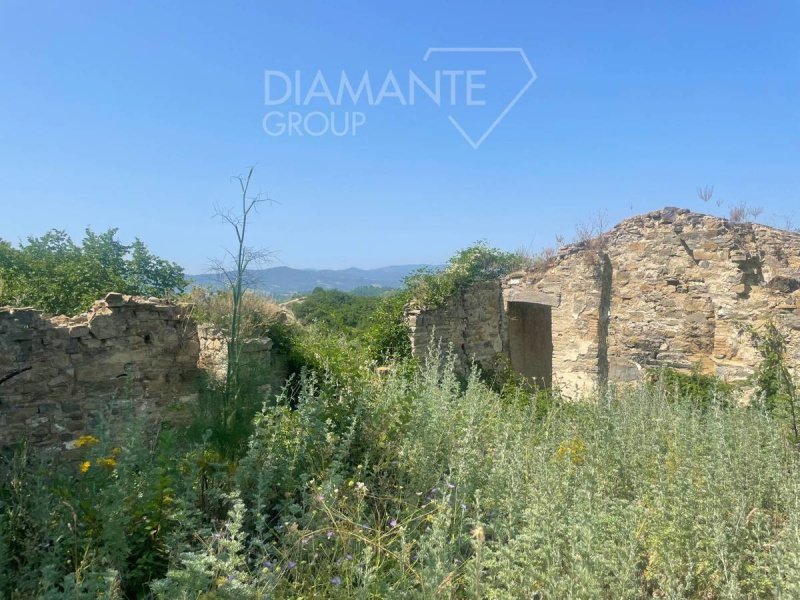 Landwirtschaftlicher Betrieb in Città di Castello