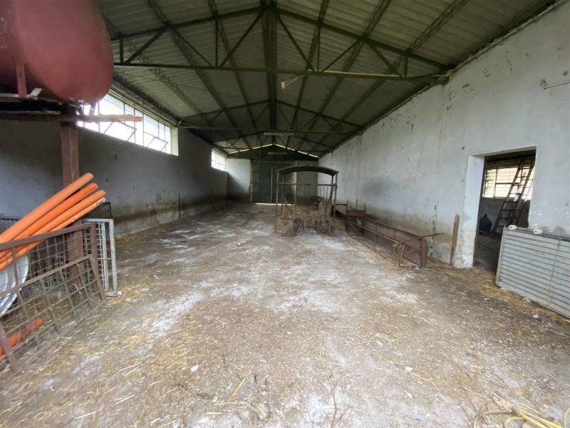 Quinta agrícola em Civitella d'Agliano
