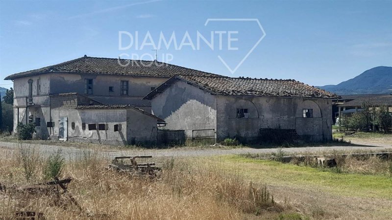 Lantställe i Castiglione d'Orcia