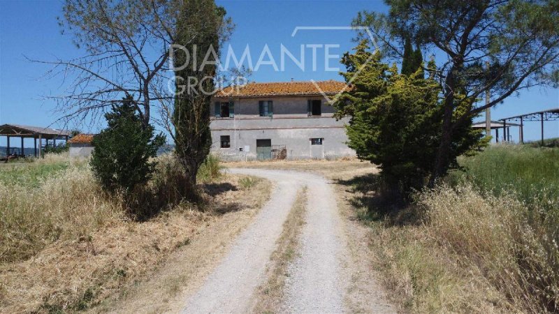 Lantställe i Castiglione d'Orcia