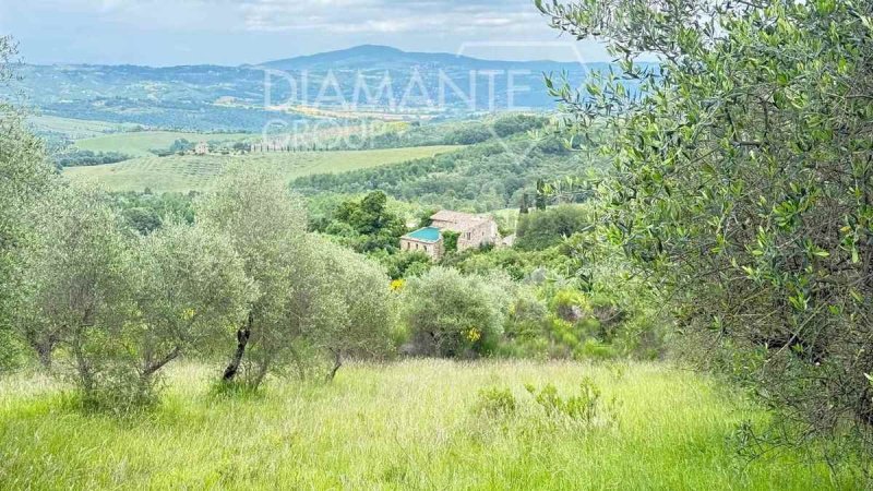 Lantställe i Allerona