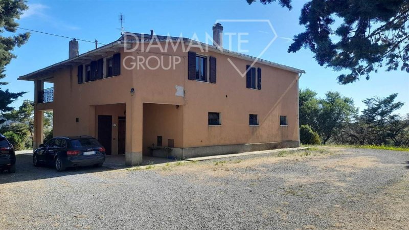 托斯卡纳区马利亚诺农业公司