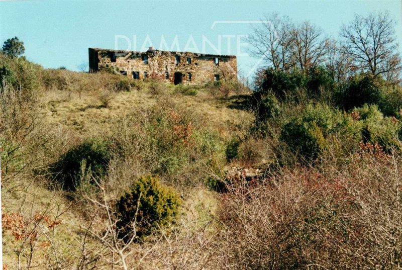 Lantgård i Acquapendente