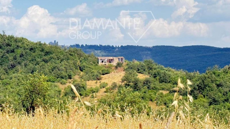 Lantgård i Acquapendente