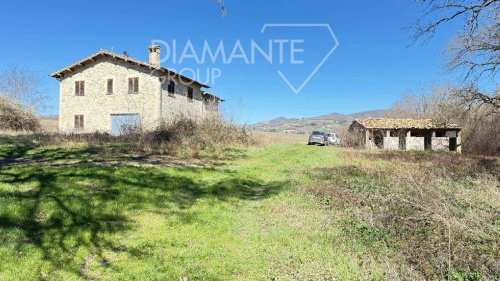 古比奥农业公司