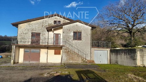 塞斯蒂诺农业公司