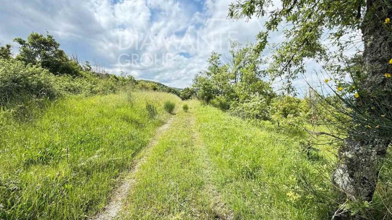 Lantgård i Allerona