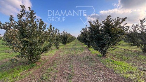 Jordbruksmark i Viterbo