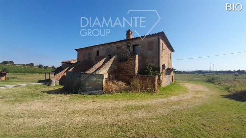 Explotación agrícola en Montepulciano