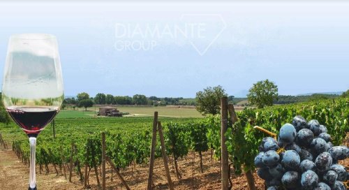 Explotación agrícola en Montepulciano
