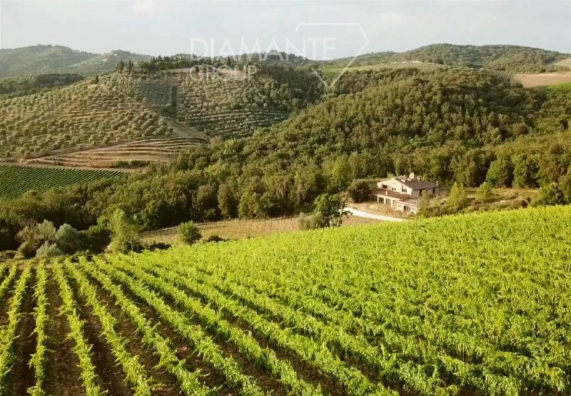 Agriturismo i Castelnuovo Berardenga