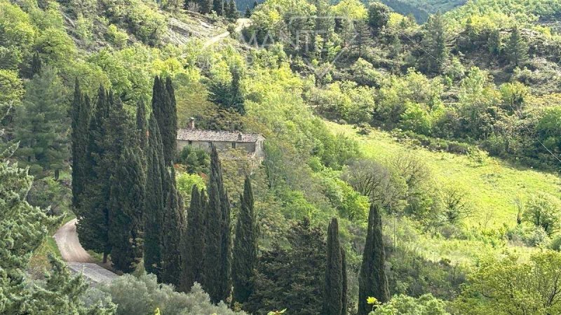 Farm in Montone