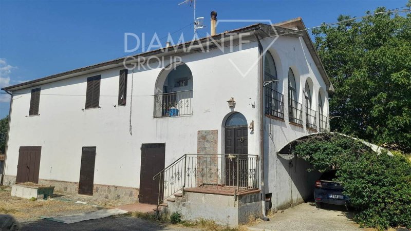 Quinta agrícola em Cinigiano