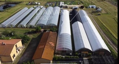 Lantgård i Castiglione del Lago